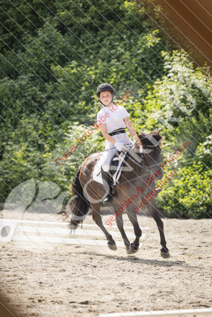 IMG_5029 | Sport-, Event- und Tierfotos in Profiqualität. Einfach auswählen, bestellen und herunterladen. Dein Moment – perfekt festgehalten.