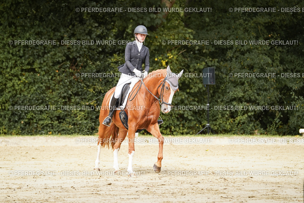 DSC01994 | Pferdegrafie