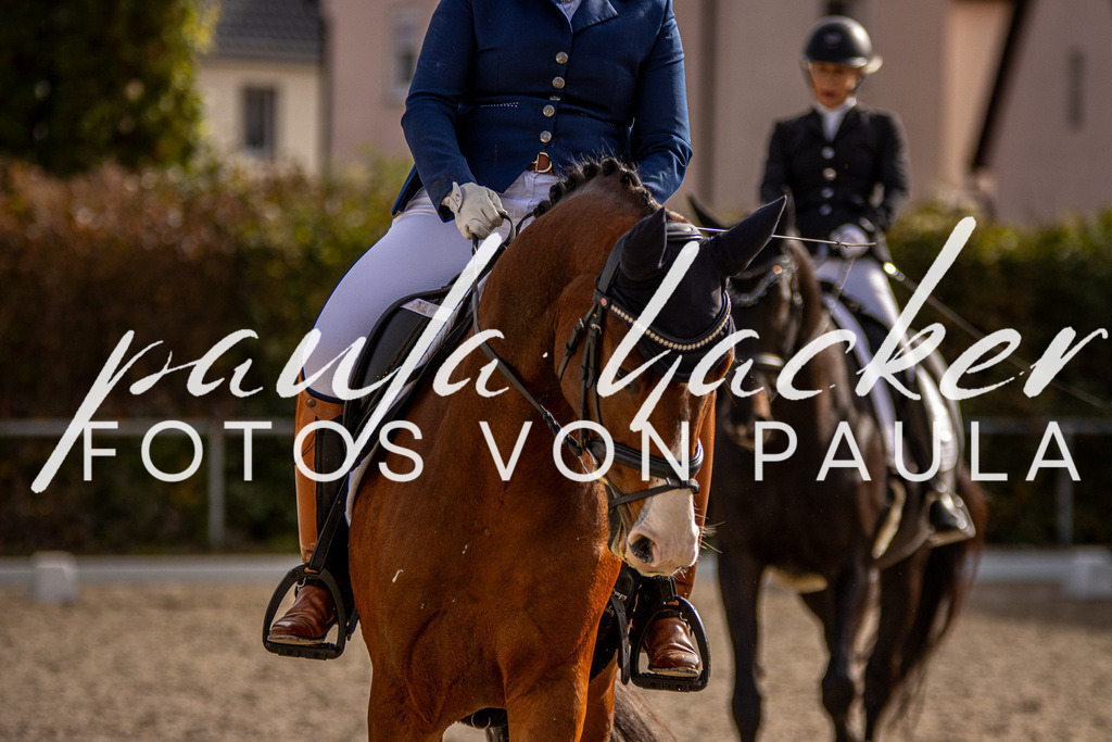 IMG_3243 | Erleben Sie dynamische Sport- und emotionale Tierfotografie in Süddeutschland mit Fotos von Paula. Spezialisiert auf Pferde- und Hundefotografie sowie Sportevents. Kontaktieren Sie mich für einzigartige und ausdrucksstarke Bilder Ihrer besonderen Momente.
