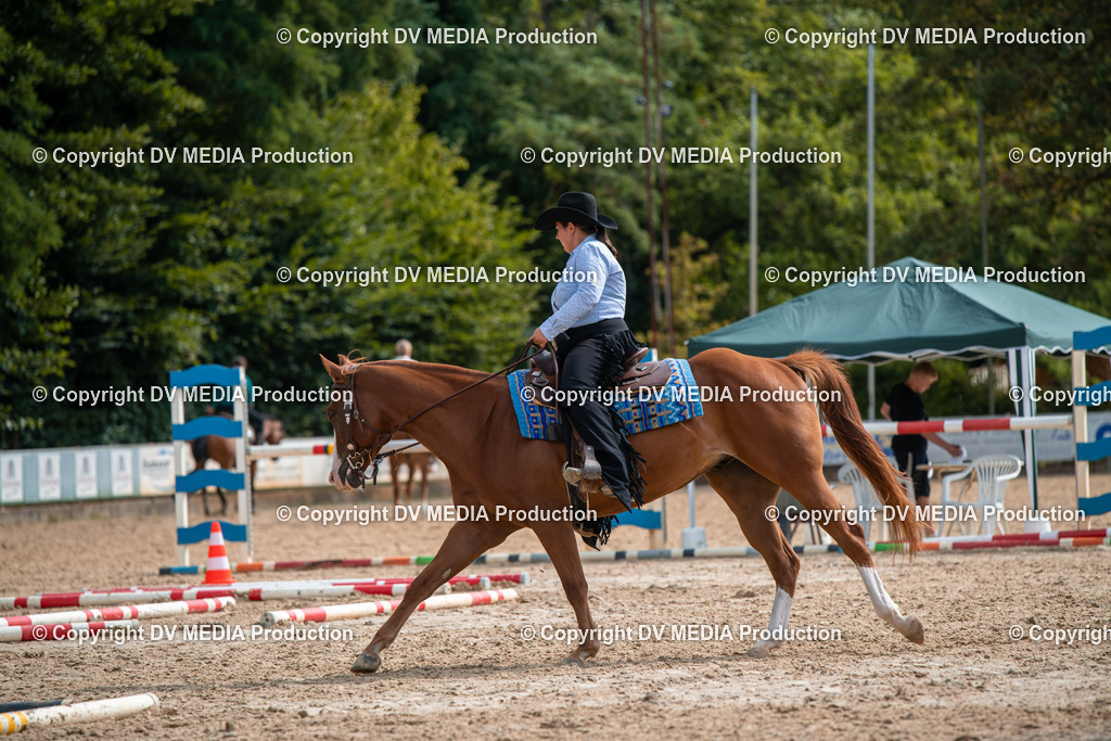 ZS3_9389 | dv-media-shop - Realisiert mit Pictrs.com