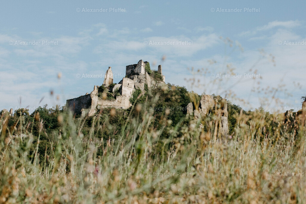 foto_c_pfeffel-partner-0002-wachau_c_alexander_pfeffel-6712 | alexander-pfeffel - Realisiert mit Pictrs.com