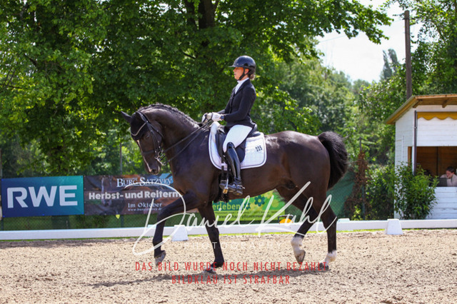 DKP41129 | Turnierfotos kaufen im Webshop von Daniel Kuhl Photography – entdecke professionelle Reitsportfotos aus Turnieren & Events. Hochwertige Turnierbilder online bestellen & sichern. Jetzt Fotos von Reitsportturnieren kaufen!