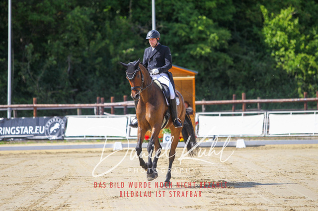 DKP46429 | Turniersportfotografie; Pferdefotografie; Dressurfotografie