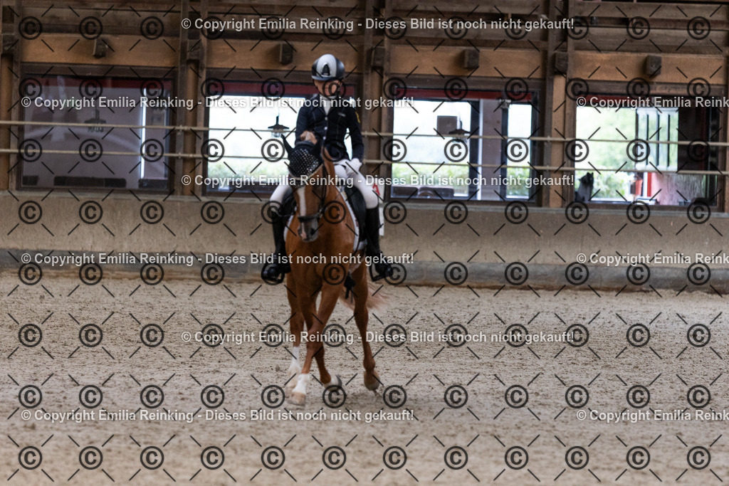 CL5A5228 | Emilia Reinking Fotografie - Realisiert mit Pictrs.com