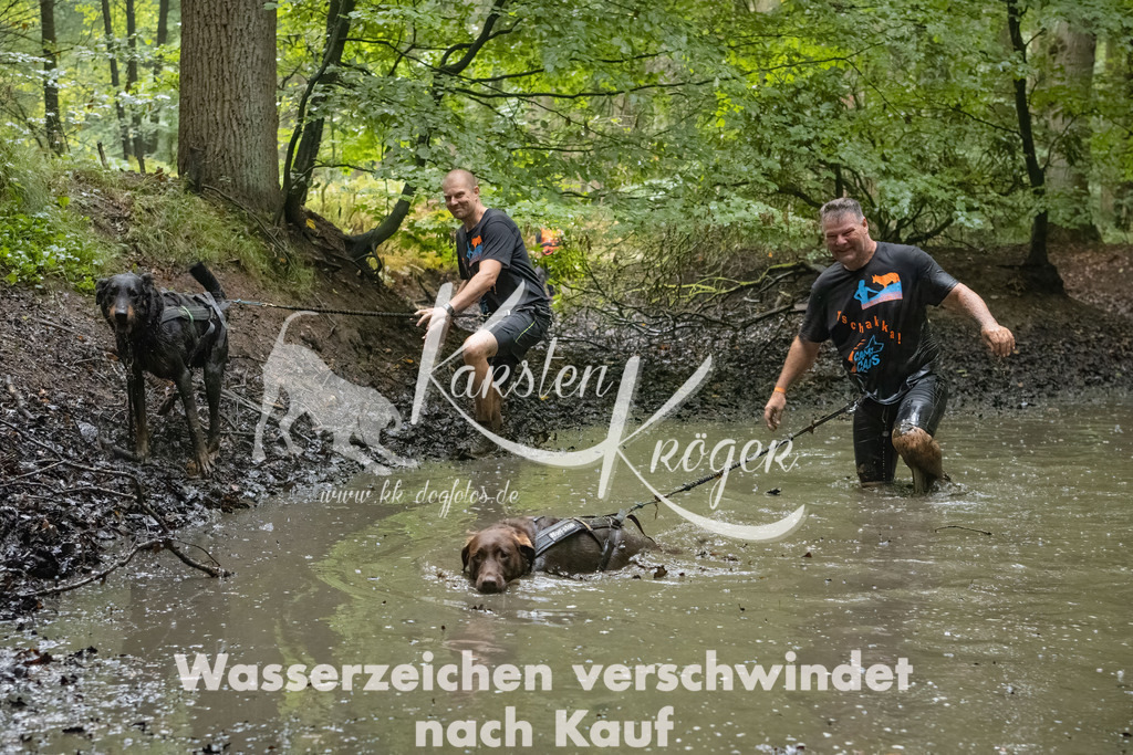 0959_ZZ91696-Bearbeitet | kk-dogfotos