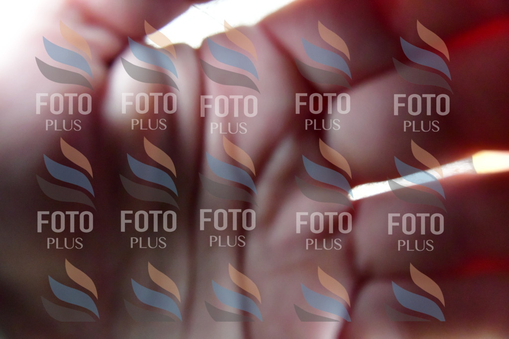 _DSC4428 | holidayphoto