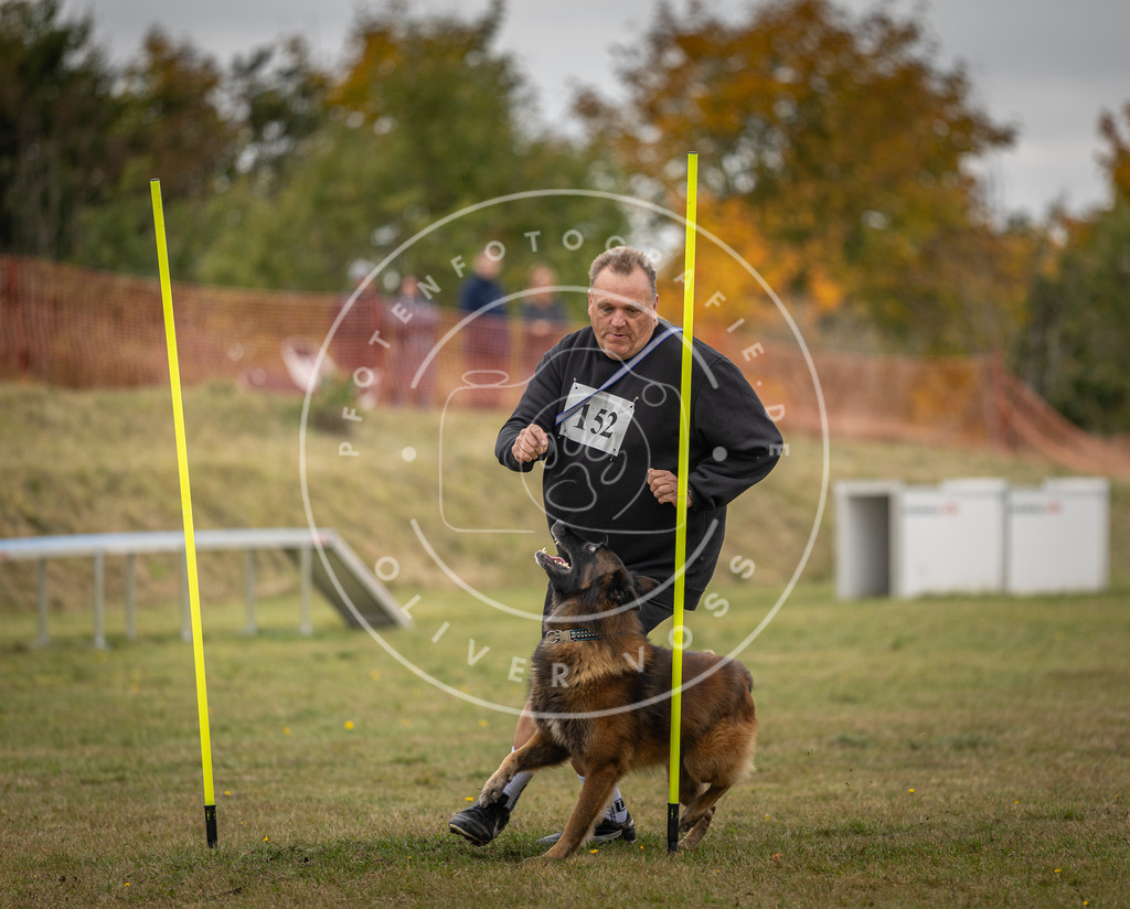 Pfotenfotografie_DV3A6456 | Hundefotografie, Tierfotograf, Pfotenfotografie, Fotoshooting Hund, Hunde Portrait, Hundesport, Hundeportraits, Heideshooting, Hunde, Sportfotograf, Hundefotograf, Turnierhundsport, THS,  - Realisiert mit Pictrs.com