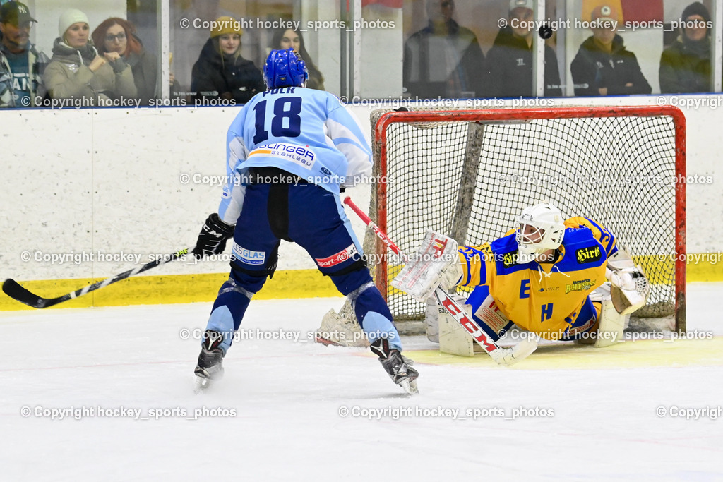  EHC Althofen vs. ESC Steindorf 9.3.202 | #31 Horn Fabian, #18 Pöck Markus