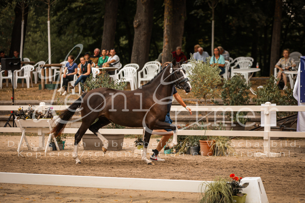 10.-12.Elite00092 | Leoni Ertmer Photography - Realisiert mit Pictrs.com