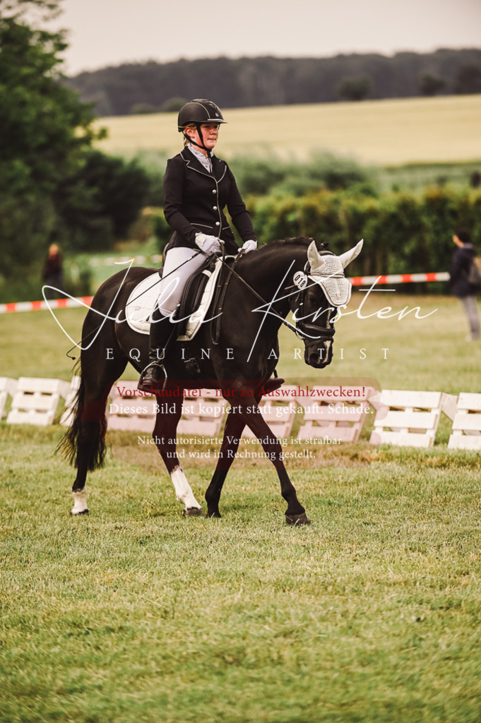 DSC_4803 | Pferde- und Turnierfotografie in Westsachsen. Pferdeportraits, Auftragszeichnungen und intuitive Kunst.