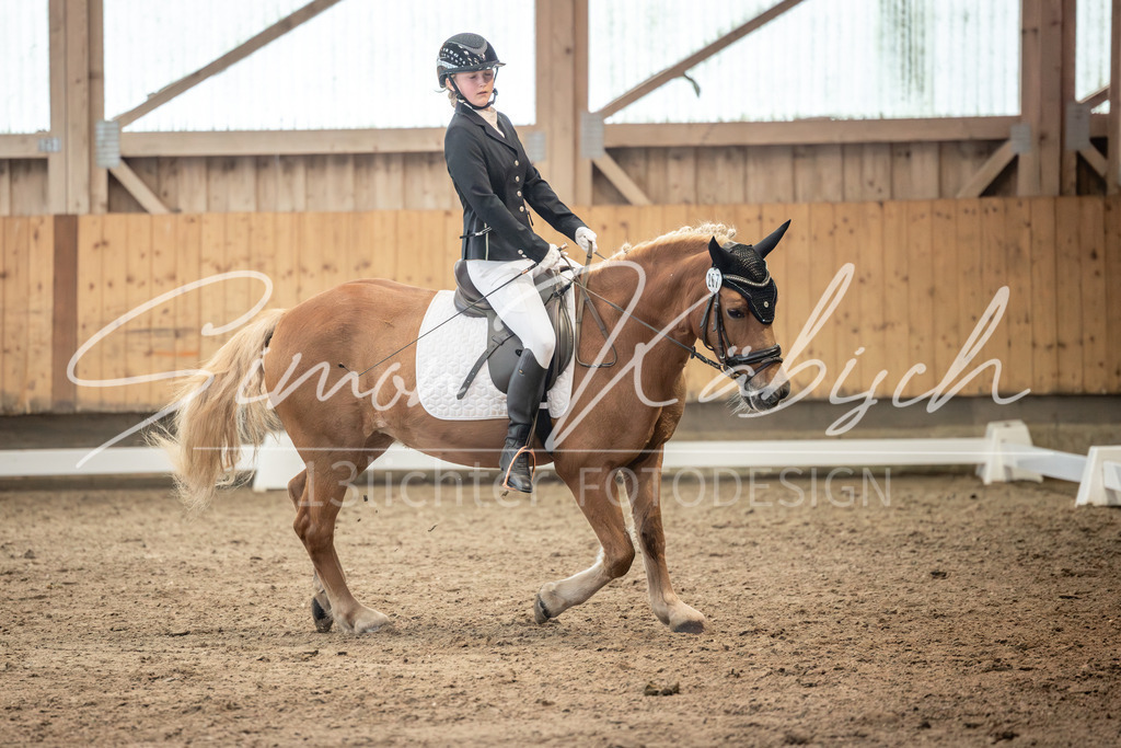 20251011-_3LI6702 | Tierfotografie Pferde, Hunde, Katzen, Haustiere.
Turnierfotografie Reitturniere, Reiten, Springreiten, Dressur in Hanau, dem Main-Kinzig-Kreis und dem Rhein-Main- Gebiet um Frankfurt