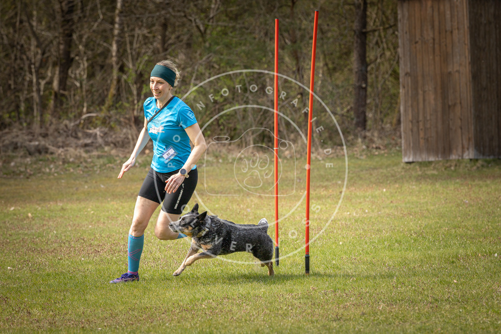 Pfotenfotografie_DV3A7606 | Hundefotografie, Tierfotograf, Pfotenfotografie, Fotoshooting Hund, Hunde Portrait, Hundesport, Hundeportraits, Heideshooting, Hunde, Sportfotograf, Hundefotograf, Turnierhundsport, THS,  - Realisiert mit Pictrs.com