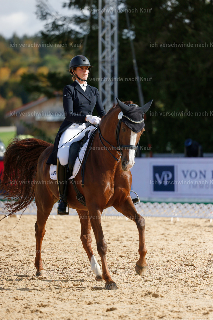 09_2-163-DRESSUR  S_  -StoibPH-5739 | working equitationturnier fotograf videograf stoibphotography marixx film working equitation deutschland reitsport turnierfotografie eventfotografie equestrian events