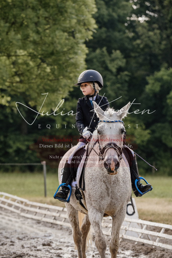 DSC_8409 | Pferde- und Turnierfotografie in Westsachsen. Pferdeportraits, Auftragszeichnungen und intuitive Kunst.