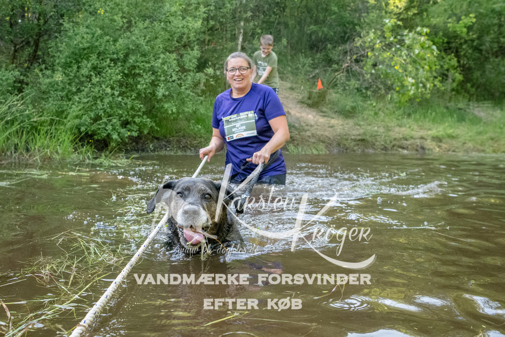 1744DKK992524 | kk-dogfotos