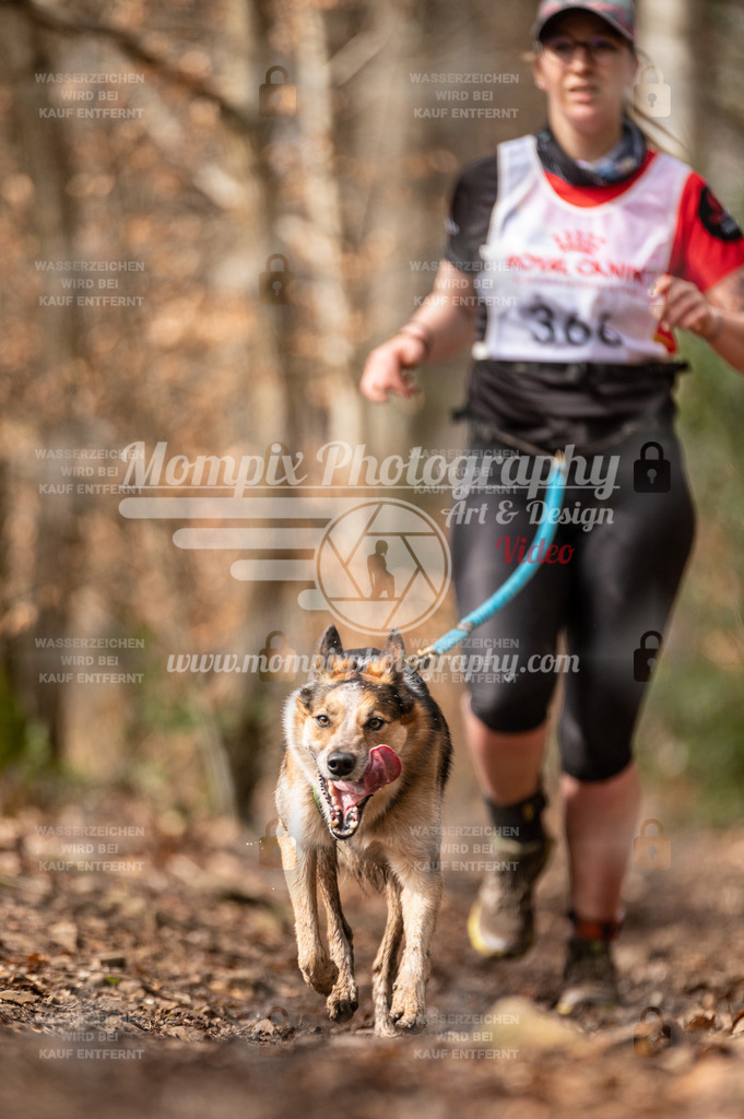 SPA_2023_DIM_CCK-204 | PayLife