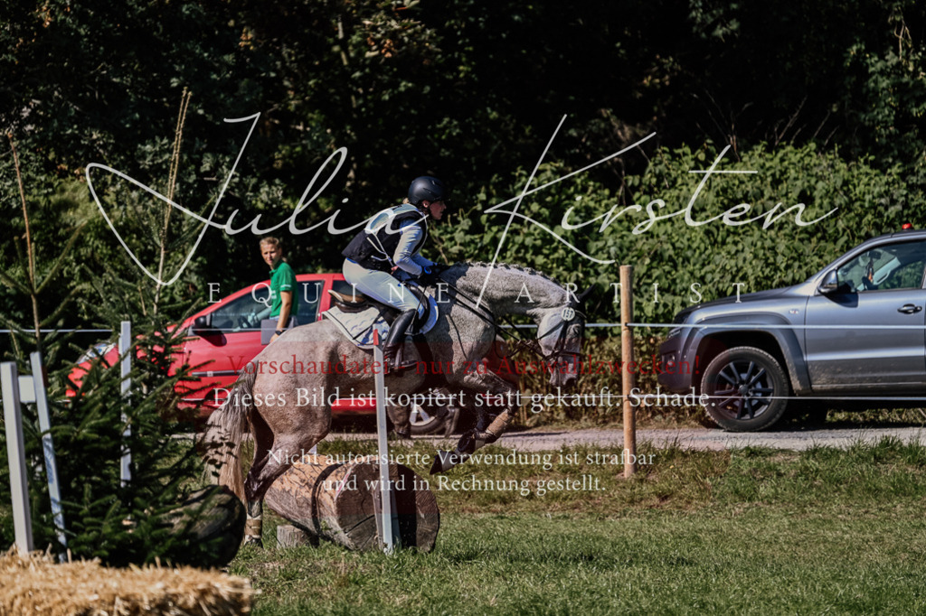 DSC_1405 | Pferde- und Turnierfotografie in Westsachsen. Pferdeportraits, Auftragszeichnungen und intuitive Kunst.