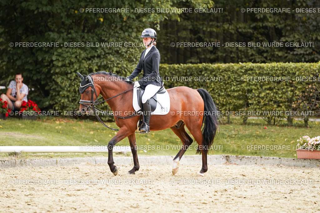 DSC00830 | Pferdegrafie