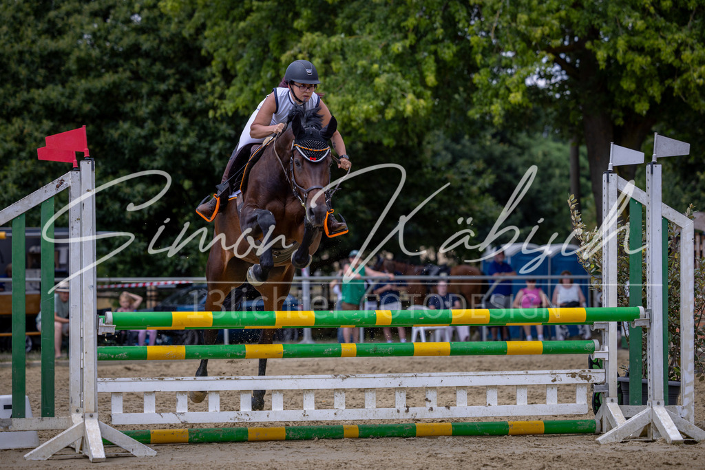 20260704-_3LI0551 | Tierfotografie Pferde, Hunde, Katzen, Haustiere.
Turnierfotografie Reitturniere, Reiten, Springreiten, Dressur in Hanau, dem Main-Kinzig-Kreis und dem Rhein-Main- Gebiet um Frankfurt