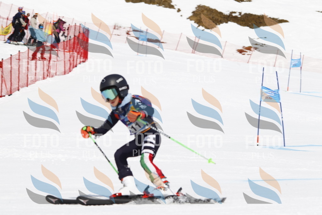 _U3G5451 | holidayphoto