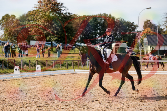 2026_10_03_Siefer-Hof_133621_Z63_96823898 | Professionelle Reitsport-, Turnier- und Eventfotografie von Robert Broda. Galerien mit ausgewählten und bearbeiteten Bildern direkt online ansehen und bestellen.