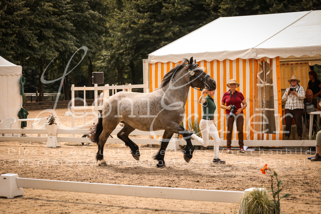 4.Sa00030 | Leoni Ertmer Photography - Realisiert mit Pictrs.com