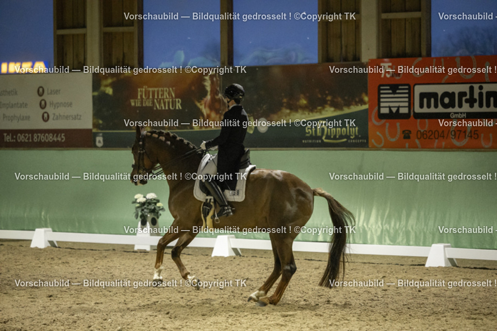 _D5A7542 | Emotionale Pferde- & People-Fotografie rund um Heidelberg, Leimen & Umgebung. Natürliche Fotos von Pferd, Mensch & Familie. Jetzt Termin sichern!