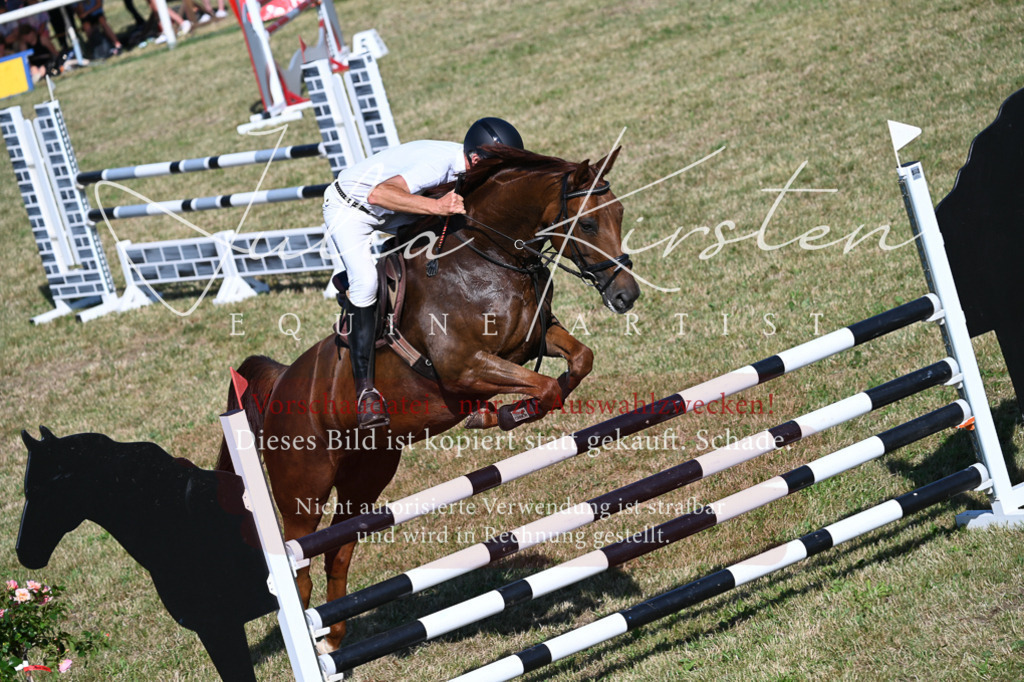 DSC_2261 | Pferde- und Turnierfotografie in Westsachsen. Pferdeportraits, Auftragszeichnungen und intuitive Kunst.