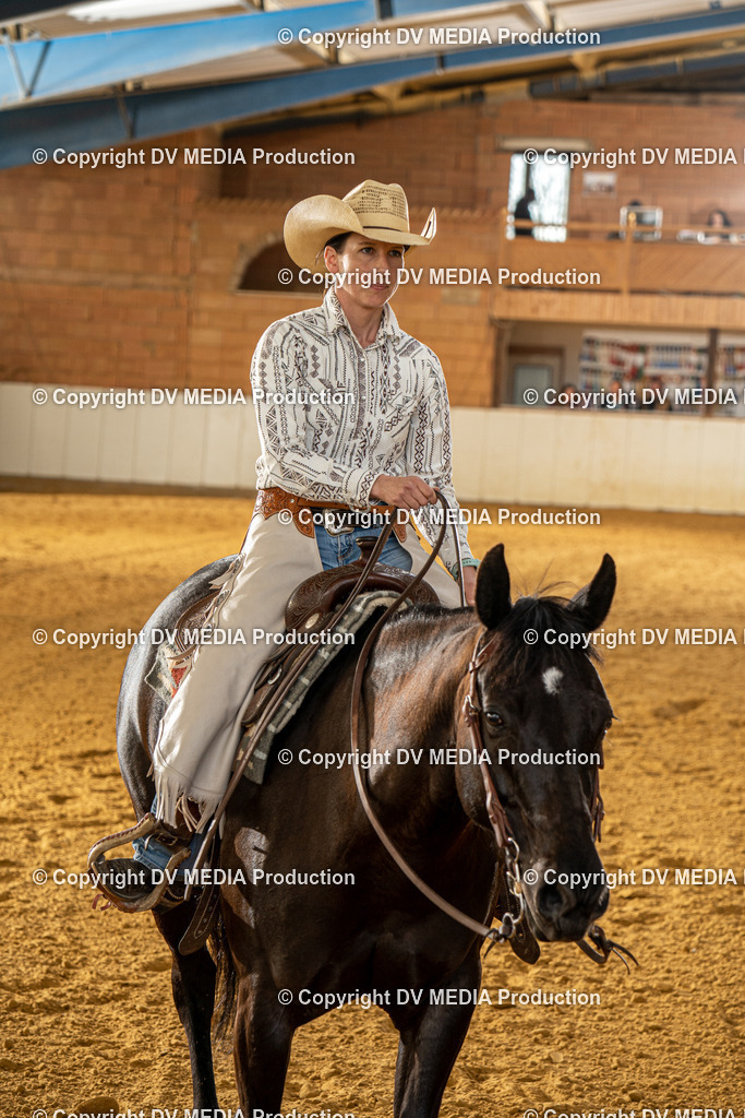 MIT00704 | dv-media-shop - Realisiert mit Pictrs.com