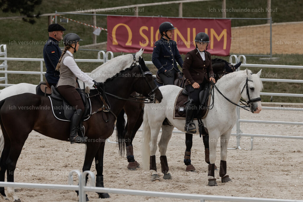 WE__Stoib_Rinder_PI2025_3200 | Pferd International München 2025