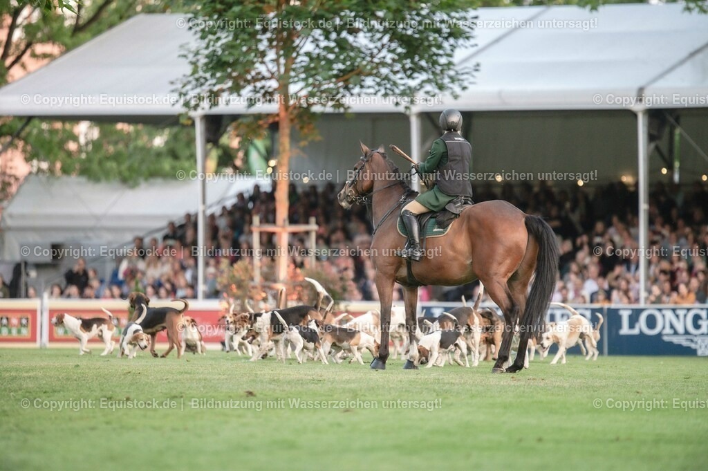 20230526_Pferdenacht_0539 | equistock