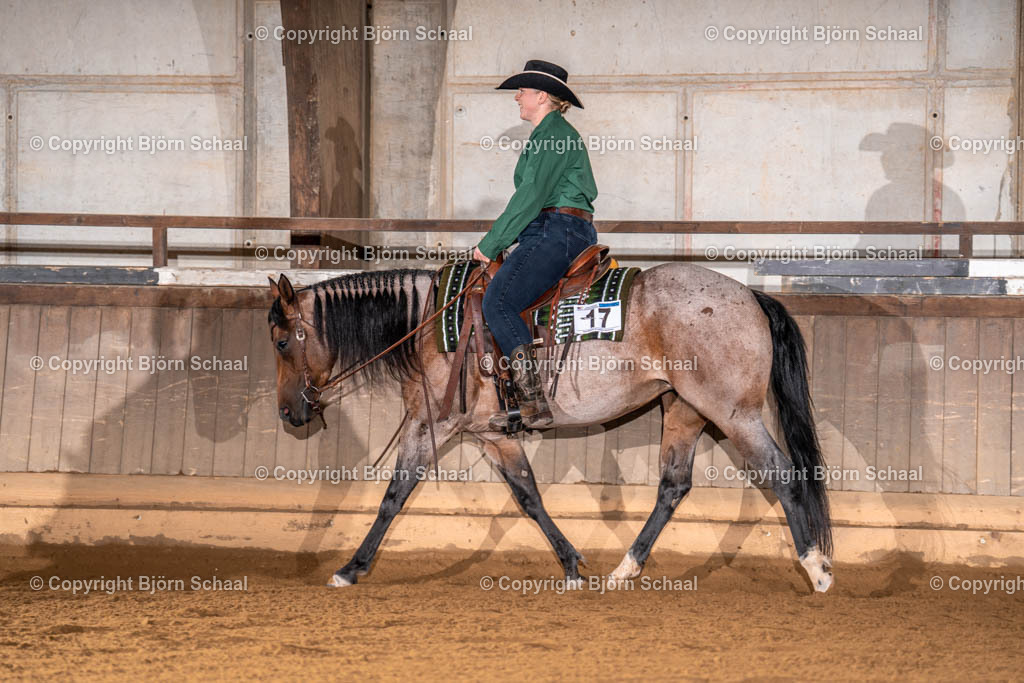 LMS00805 | BS-foto