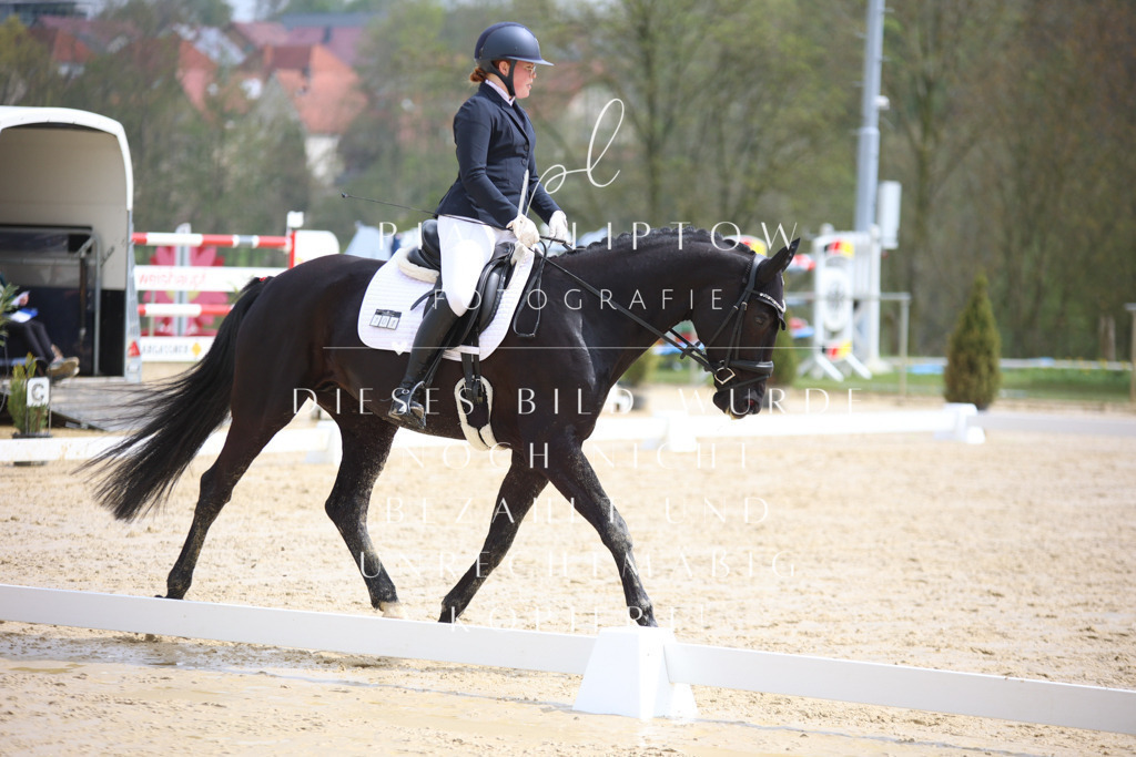 IMGT3134 | pl-fotografie