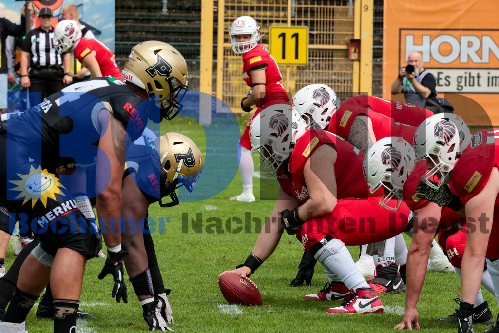 GFL: Paderborn Dolphins vs. New Yorker Lions{date} -  | {headline}(Foto: Sebastian Sendlak / BOND) - Realisiert mit Pictrs.com
