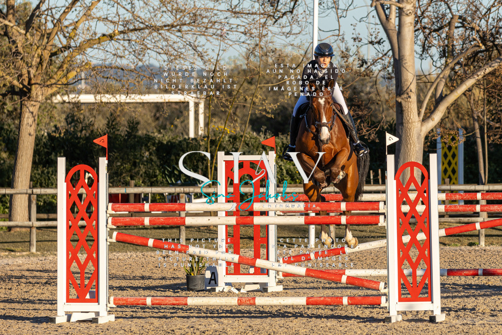 IMG_2907 | s-jay-photography - Realisiert mit Pictrs.com