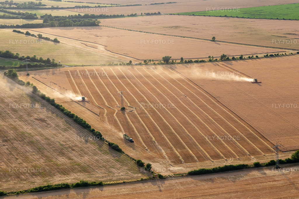 Luftbild: Rapsernte im Ortsteil Mühlberg in Drei Gleichen im Bundesland Thüringen in Deutschland. Foto: IMG_116105.jpg vom 10.07.2019 durch Werner Riehm/FLY-FOTO.de