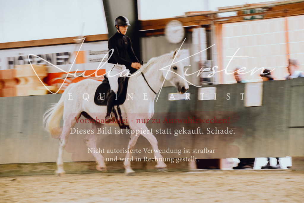DSC_6965 | Pferde- und Turnierfotografie in Westsachsen. Pferdeportraits, Auftragszeichnungen und intuitive Kunst.