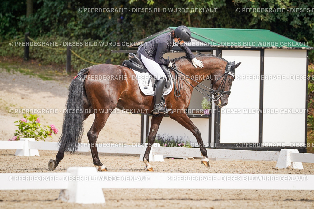 DSC06388 | Pferdegrafie