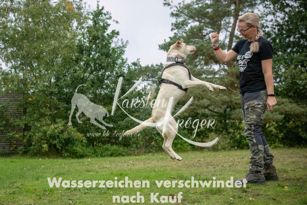 1220_ZZ90718-2-Bearbeitet | kk-dogfotos
