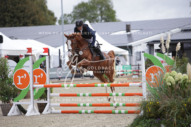 1J2A1112Niclas Aromaa_ Ocala 6_ Kn812_ Havekost | Foto- und Videografie für alles rund ums Pferd. Hochwertige Bilder und Videos vom Spring- und Dressurreiten, Voltigieren & mehr. Jetzt aktuelle Veranstaltungen und Preise im Shop ansehen. - Realisiert mit Pictrs.com