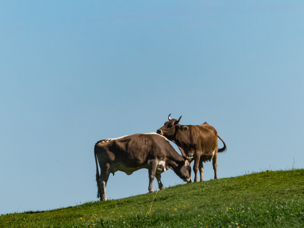 PSX_20230828_224021 | mtkfoto_ - Realisiert mit Pictrs.com