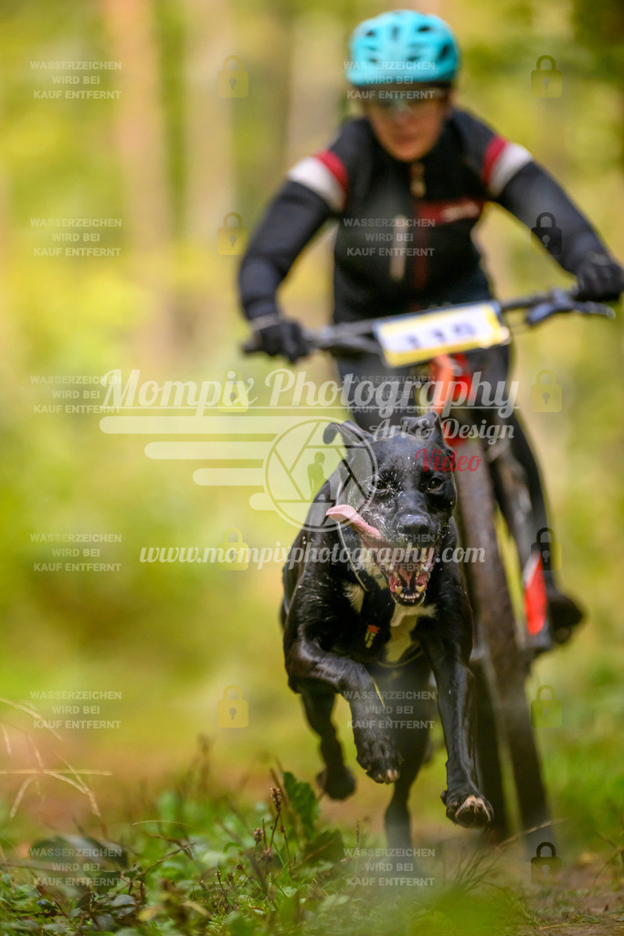 MompixPhotography_Yens2025_B2-23 | PayLife