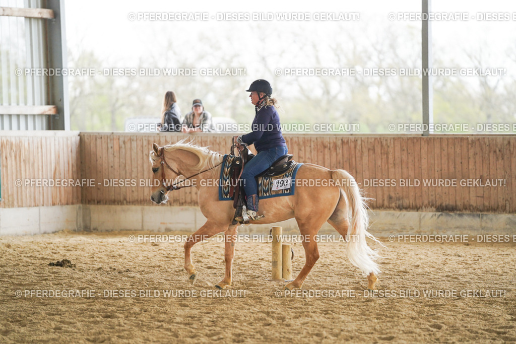 DSC06400 | Pferdegrafie