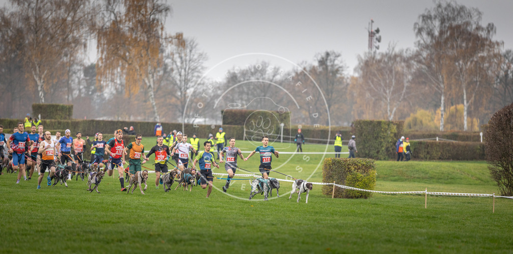 CaniXpix_DV3A9417 | Hundefotografie, Tierfotograf, Pfotenfotografie, Fotoshooting Hund, Hunde Portrait, Hundesport, Hundeportraits, Heideshooting, Hunde, Sportfotograf, Hundefotograf, Turnierhundsport, THS,  - Realisiert mit Pictrs.com