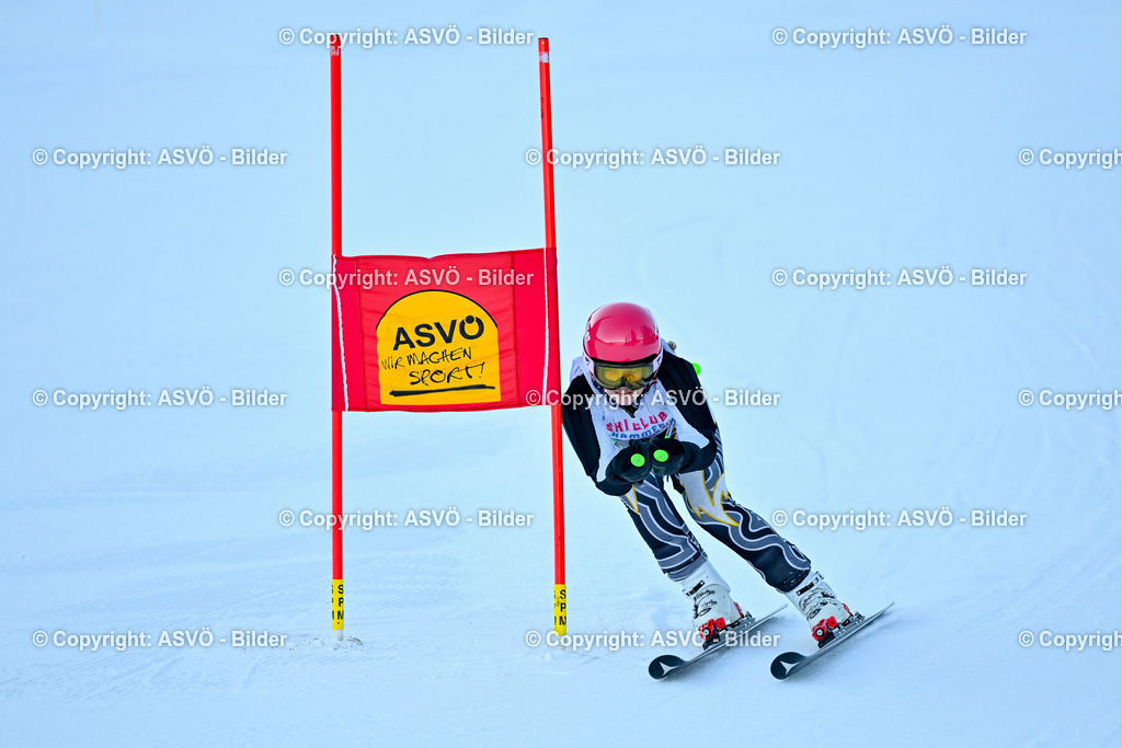 ASVÖ_ Skitrophy 2025_ 02.02.2025-51 | 02.02.2022, Hinterstoder, AUT, ASVÖ, Skitrophy 2025 im Bild Teilnehmer©Harald Dostal / fodo.media - Realisiert mit Pictrs.com