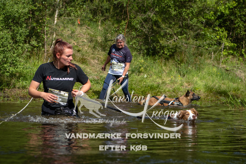 1011DKK994935 | kk-dogfotos