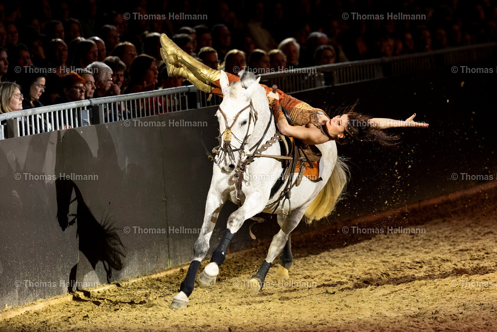 TH_Hop Top Show_26787 | EQUITANA 2025 am 07.03.25 in Essen