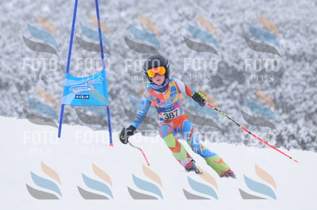 C4107 | holidayphoto