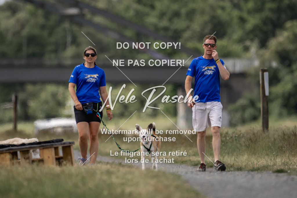 nelerasche_BuHu2026_SaCC1100-1200_97 | nelerasche