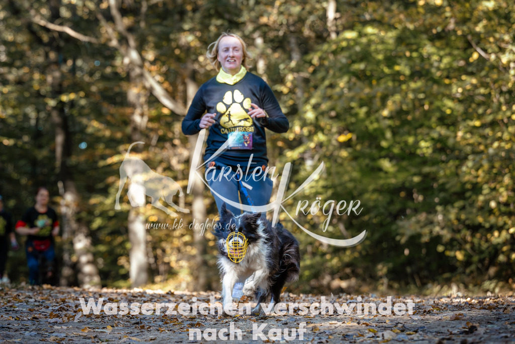 1137_ZZ92856 | kk-dogfotos